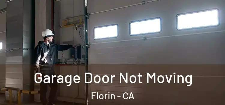  Garage Door Not Moving Florin - CA