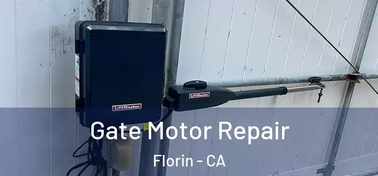 Gate Motor Repair Florin - CA