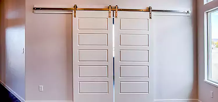 Glass Barn Door with Installation Hardware Kit Florin
