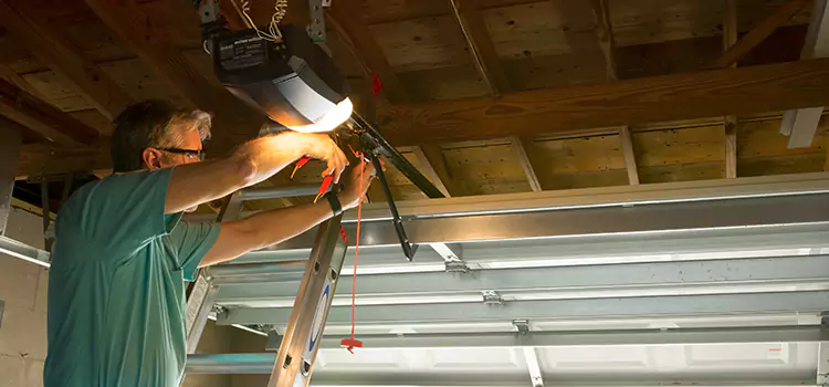Garage Door Opener Sales and Installation Florin